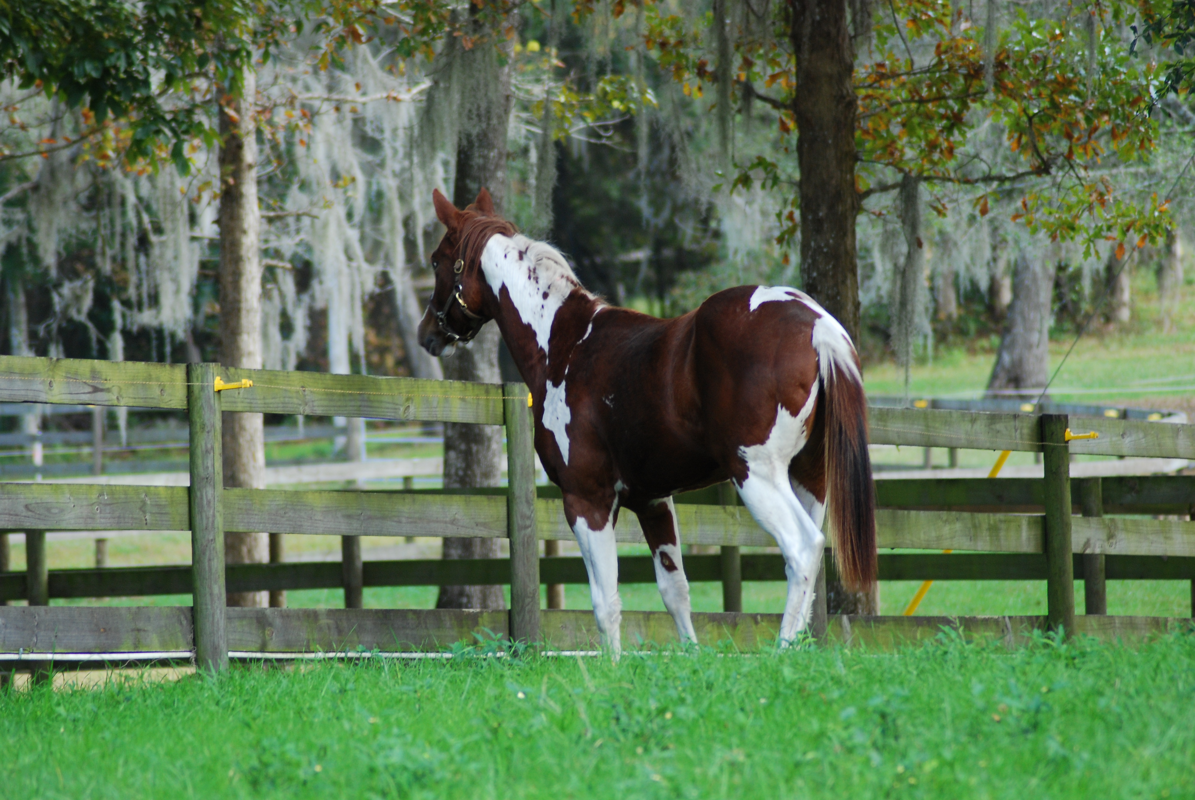 dsc_0142.jpg