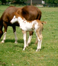 imag0007.jpg