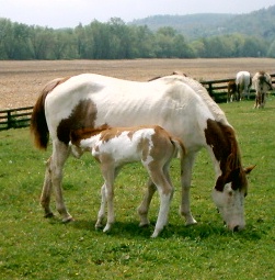 imag0014.jpg