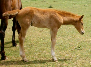 imag0033.jpg